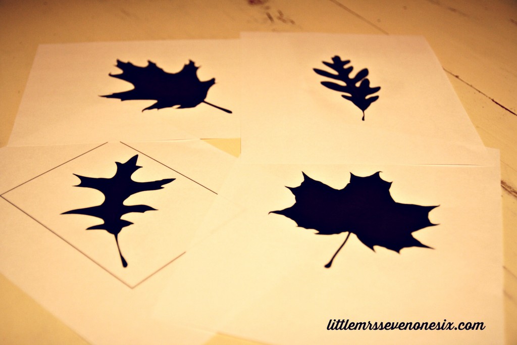 Fall Leaves Silhouettes