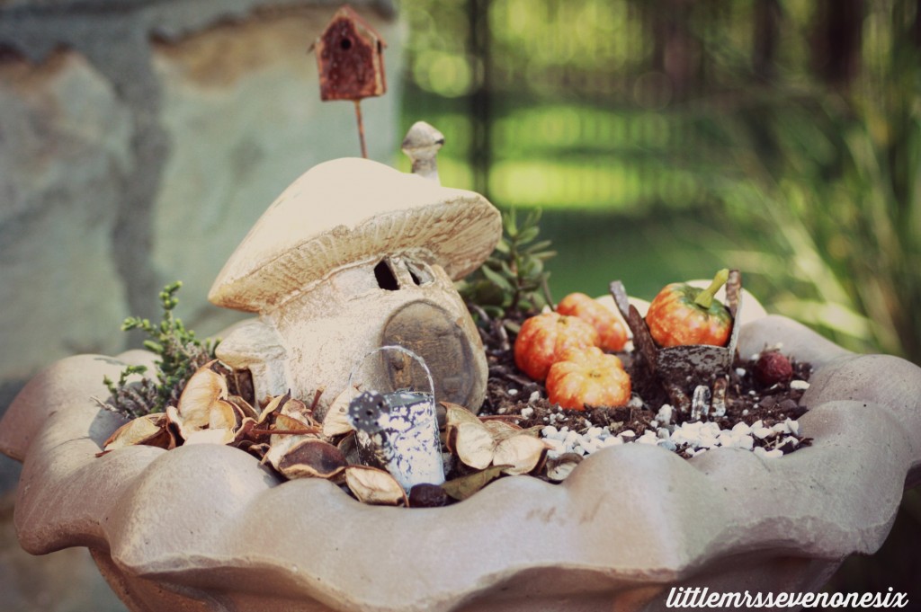 Fairy Garden