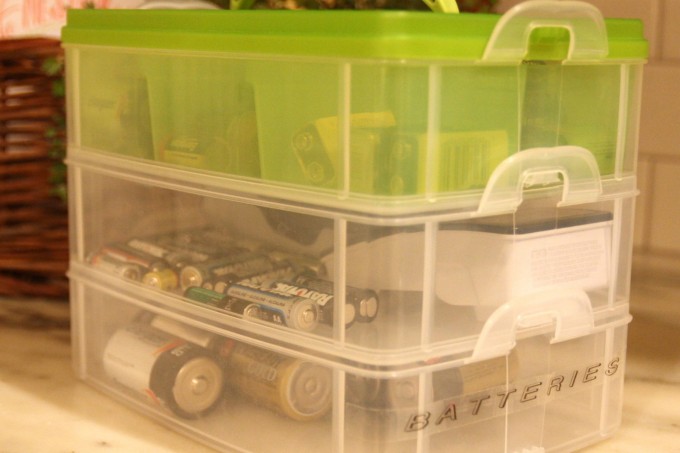 Battery organization container