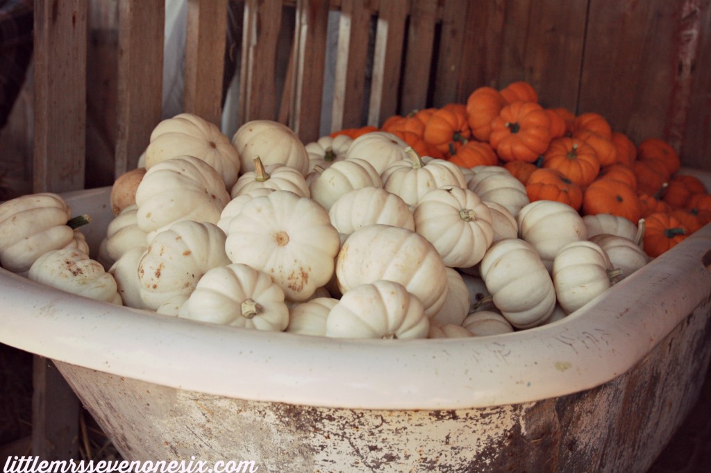 Pumpkin bathtub