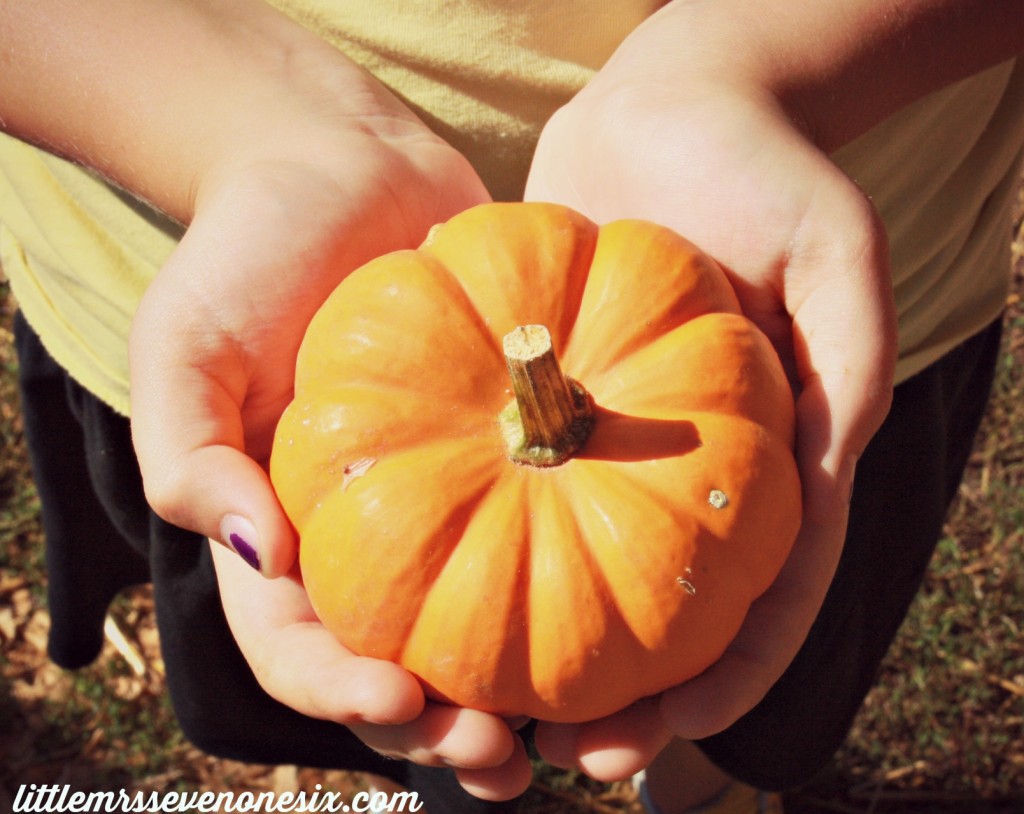 Pumpkin in hand