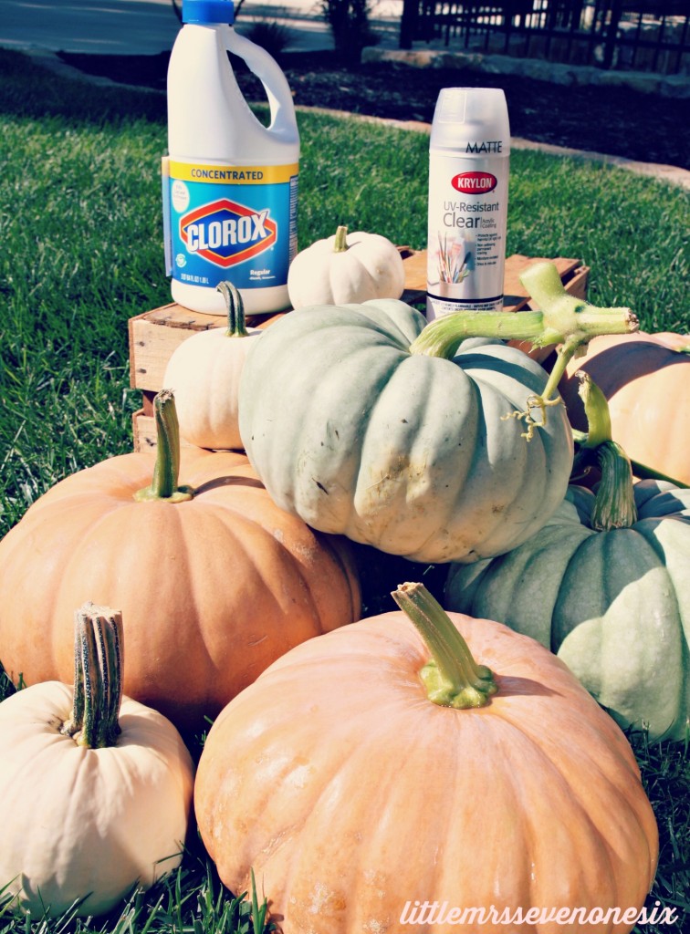 Pumpkin saving solution