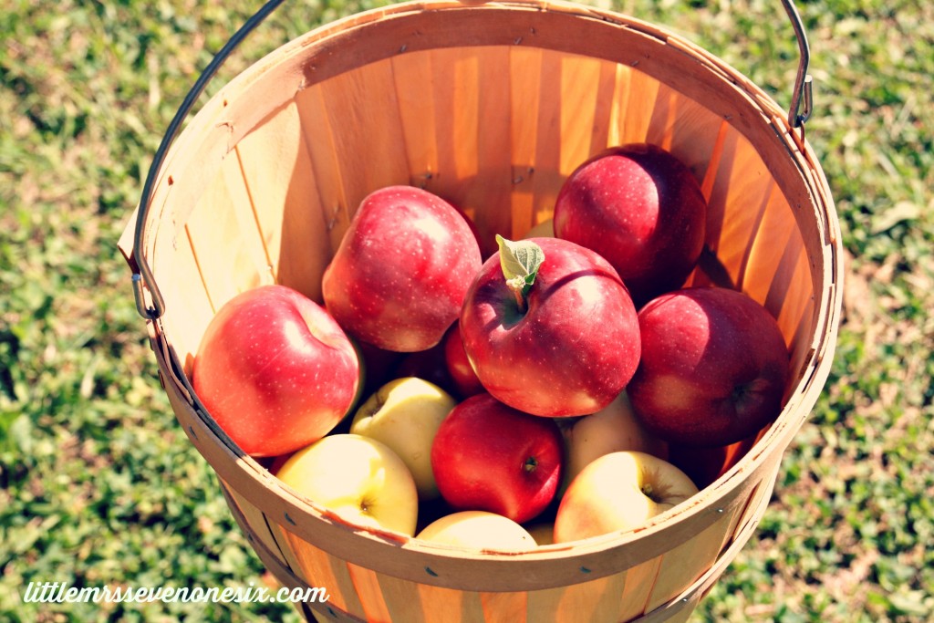 apple basket