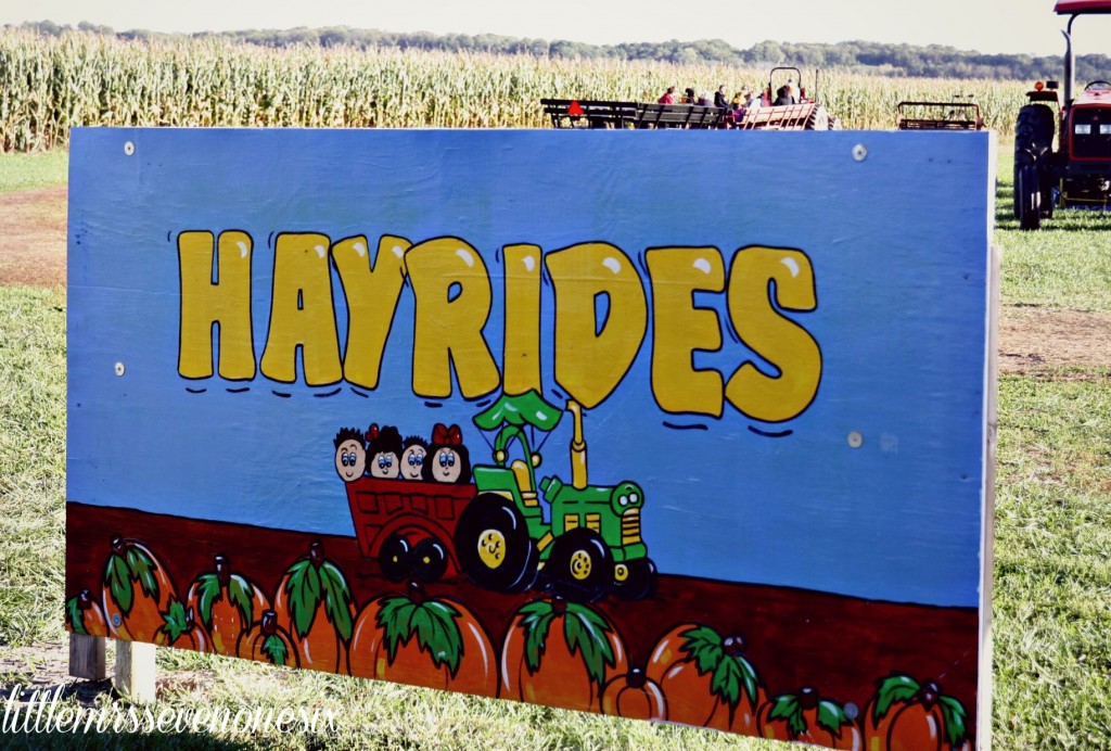 Hayrides at Carolyn's