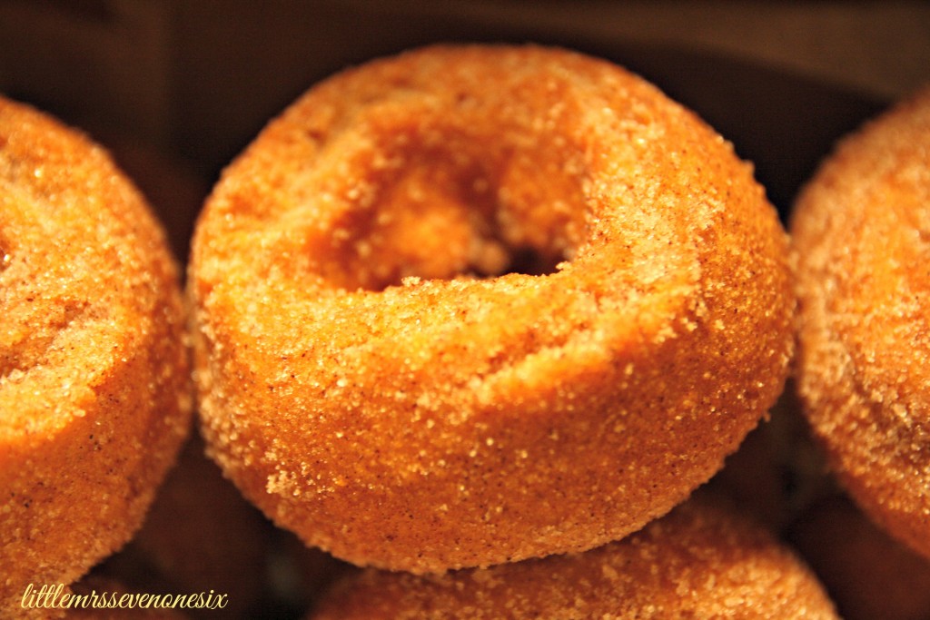 Pumpkin donuts